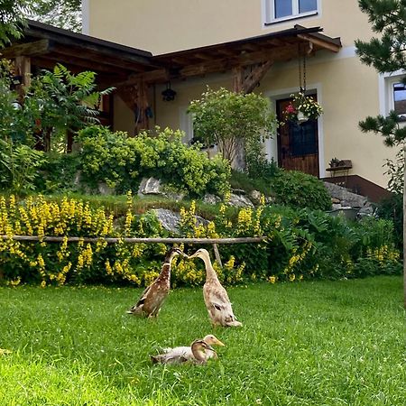 Heissgut Altenmarkt im Pongau Exterior foto