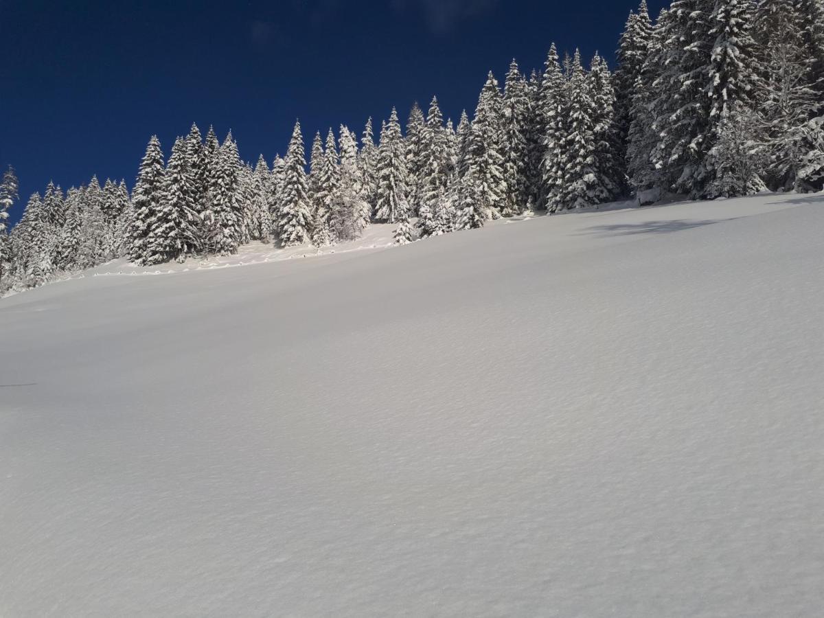 Heissgut Altenmarkt im Pongau Exterior foto