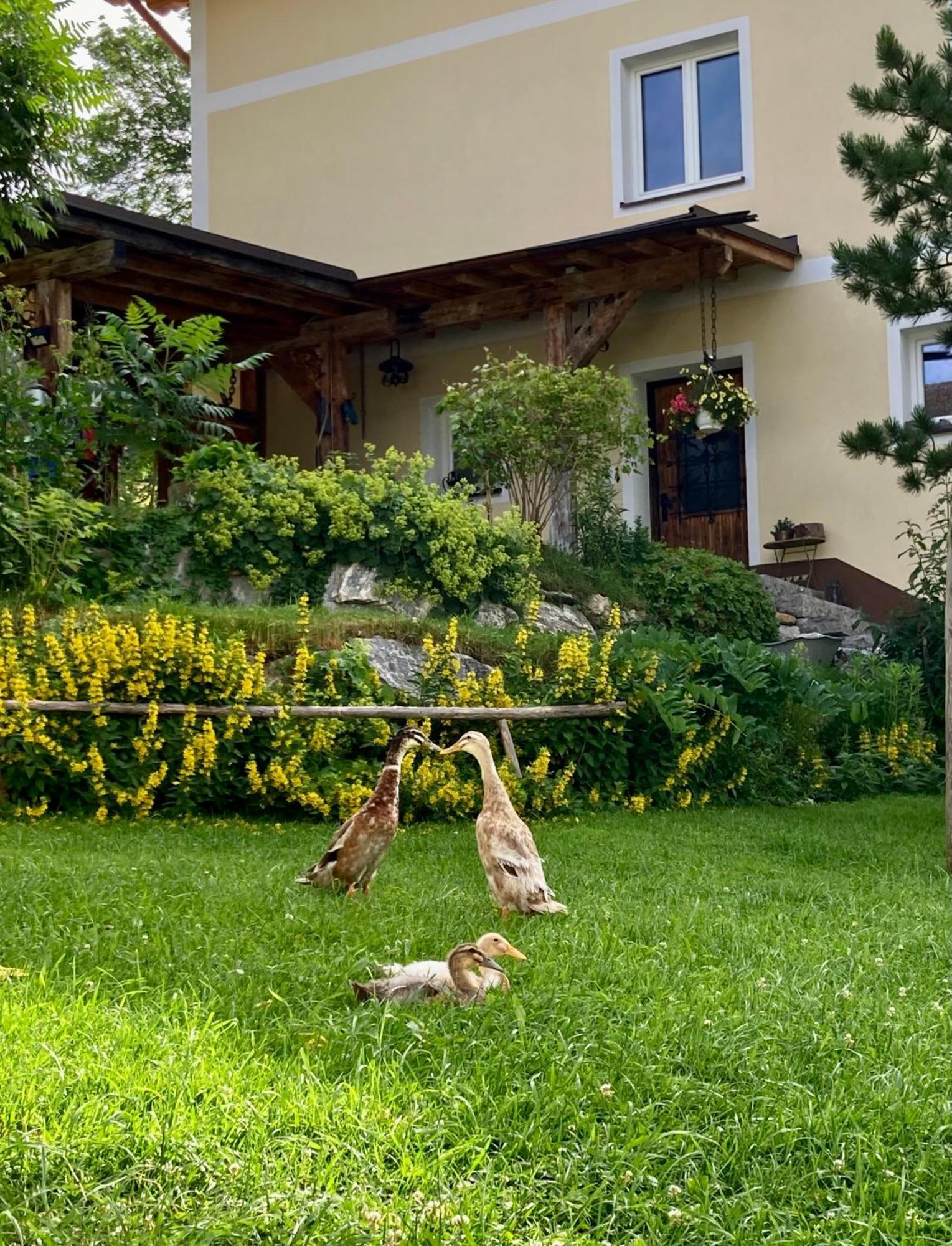 Heissgut Altenmarkt im Pongau Exterior foto